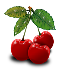 cherries-1987182_960_720.png